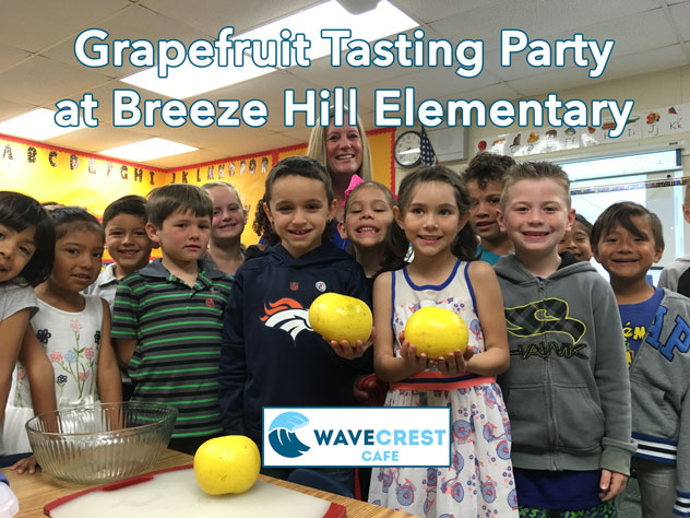 Grapefruit tasting party at Breeze Hill Elementary