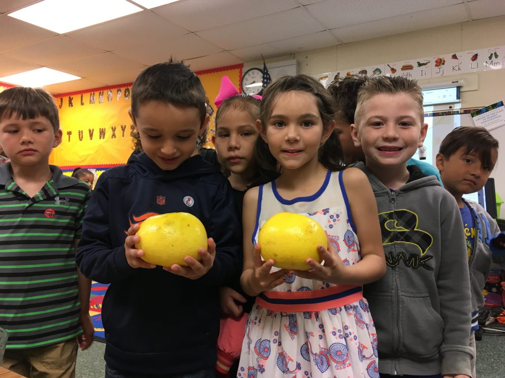 Students holding grapefruit