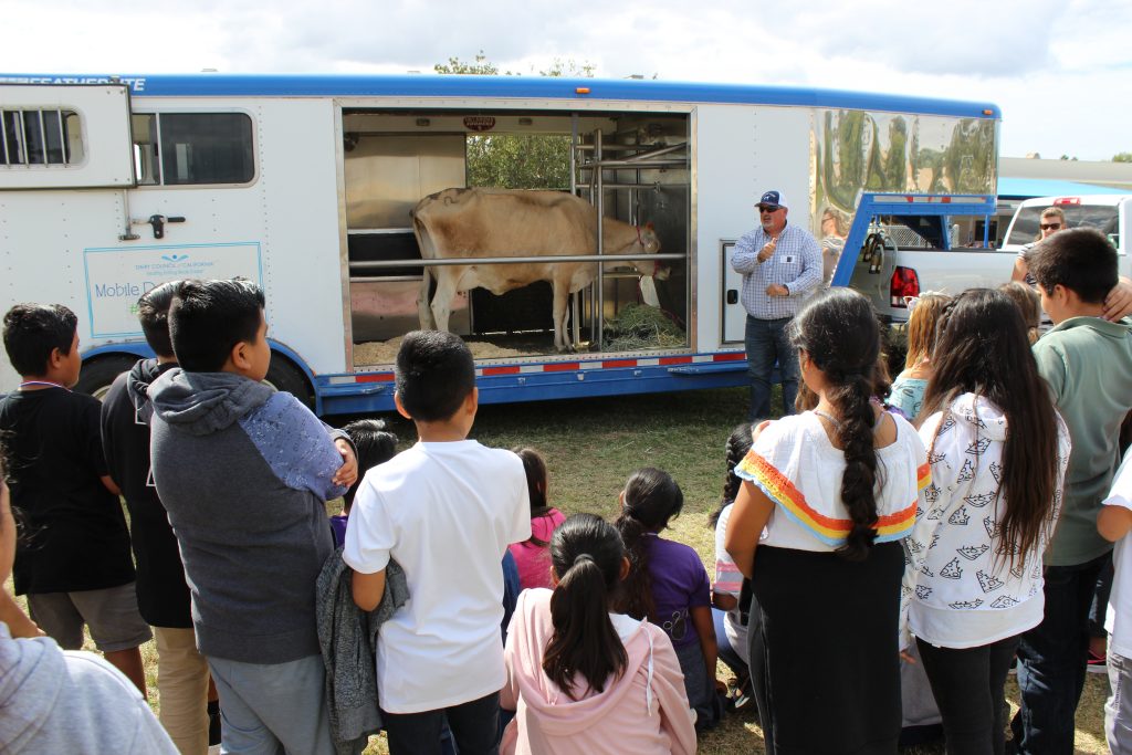 Mobile dairy classroom with cow