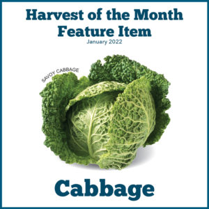 Harvest of the Month Featured Food: Cabbage