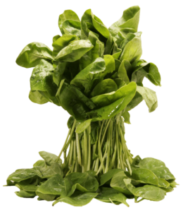 Bundled tower of spinach