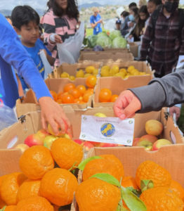 student displays a voucher for the farmer's market in front of a crate of oranges