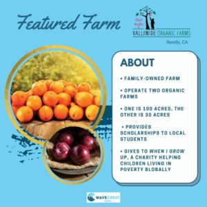 Valliwide farms information2