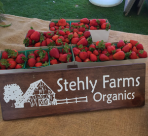 Strawberries from Stehly Farms Organics