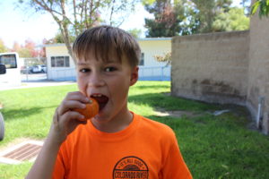 Student eating a persimmon