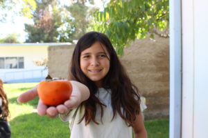 Student holding a persimmon in outstretched hand