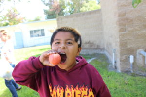 Child biting into an apple