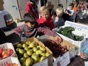 Students at a WaveCrest Cafe farmers market looking at fresh grapes