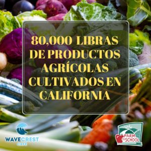 Picture of produce and text describing that the district has purchased 80,000 lbs of California produce this school year - in Español