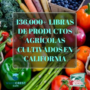 136,000 libras de productos agrícolas cultivados en California