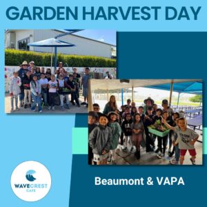 Students at VAPA and Beaumont harvesting fresh vegetables from their school gardens