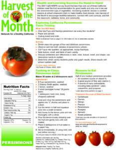 Educator newsletter on persimmons for Harvest of the Month