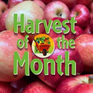 Bunch of apples for WaveCrest Cafe Harvest of the Month