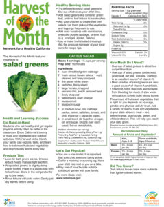 Salad Greens Harvest of the Month family newsletter in English