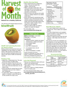 Harvest of the Month family newsletter about Kiwi fruit - newsletter in English