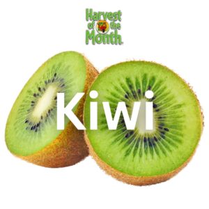 Sliced kiwi fruit for Harvest of the Month
