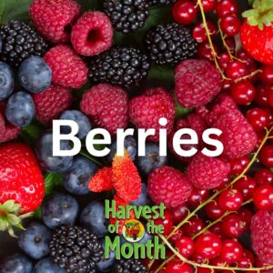 Mixed berries Harvest of the Month