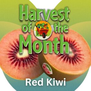 Harvest of the Month: Red Kiwi